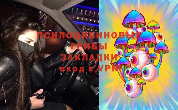 гидропоника Алзамай