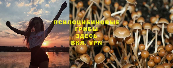 прущие крисы Абдулино
