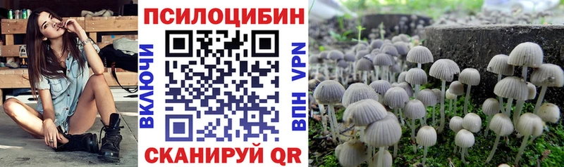 Галлюциногенные грибы Cubensis где продают наркотики blacksprut рабочий сайт Майский