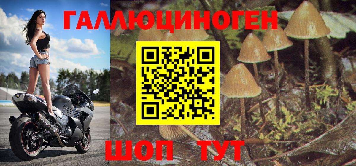 Бошки Шишки  Вход с VPN  Мефедрон   ГАШ  Майский  Каннабис 