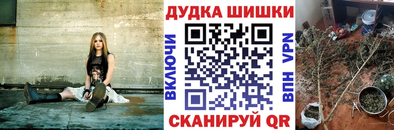 Конопля марихуана Майский